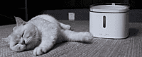 Xiaomi Smart Pet Fountain Xiaomi Smart Pet Fountain